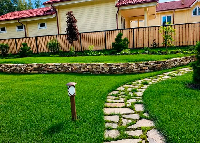 Портрет человека