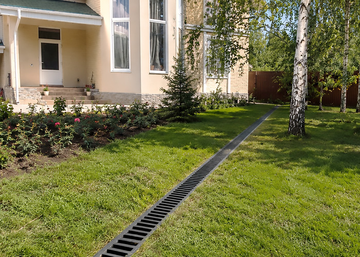 Портрет человека